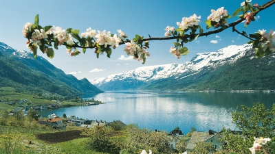 Sagolika Hardangervidda